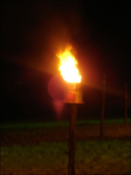 DSC01300
