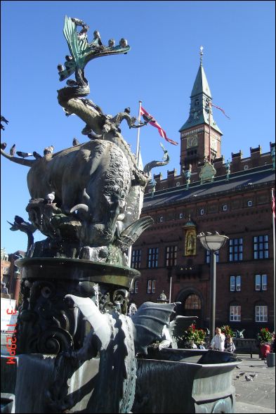 DSC00658